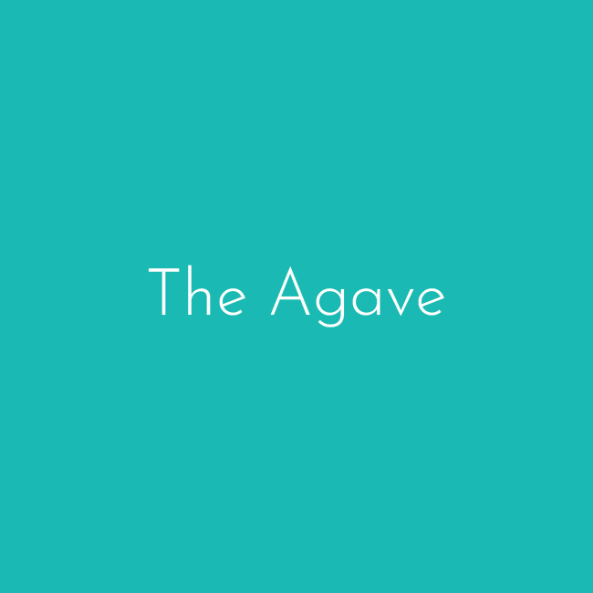 the agave-100