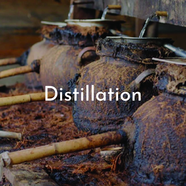 tf_mezcal process distillation@2x-100