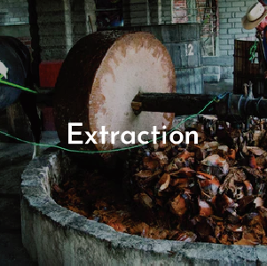 tf_mezcal process extraction